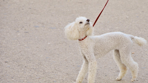 629599 (a): :3414x1920